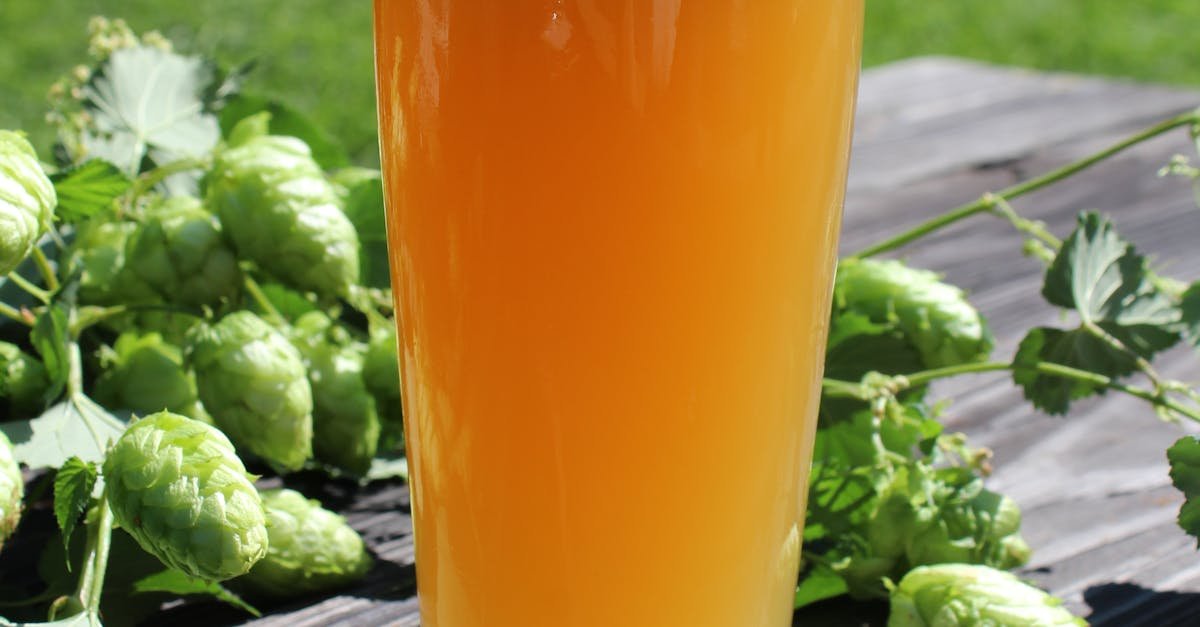 Tall glass of craft beer with frothy head surrounded by fresh green hops on a sunny day.